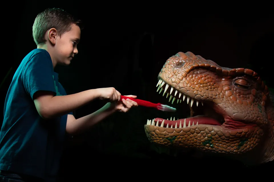 Un niño sostiene un cepillo frente a la boca de una figura de T. rex en Dinosaur Outpost.