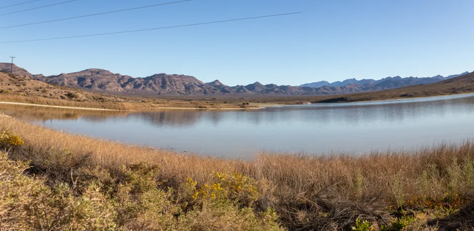 Agua y vegetación ribereña de Lower Pahranagat Lake con montañas detrás.