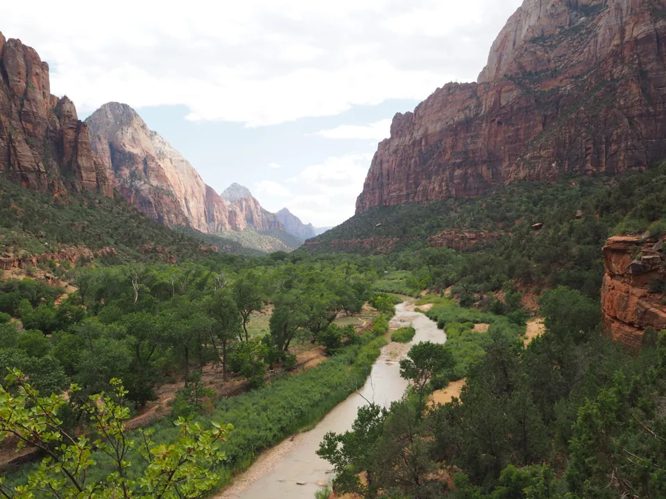 Río y árboles entre paredes altas de roca en Zion National Park.