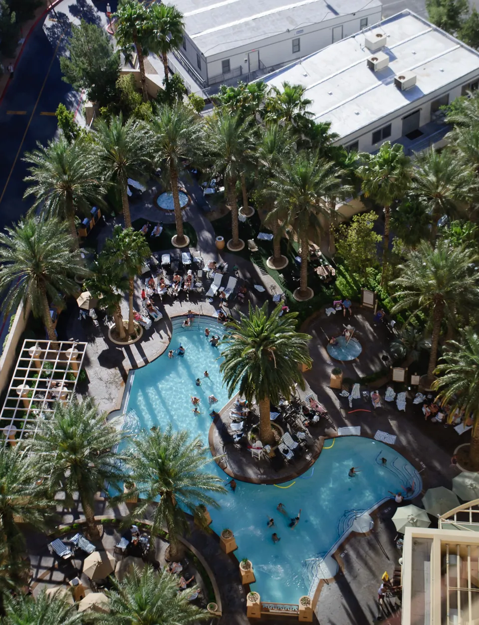 Piscina con palmeras vista desde arriba en Hilton Grand Vacations del Strip norte.