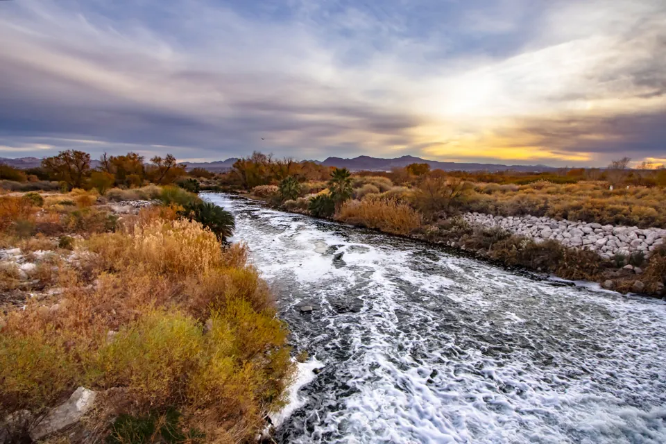 Las Vegas Wash en Clark County Wetlands Park · archivo de enero de 2025. El caudal y las condiciones de acceso cambian.