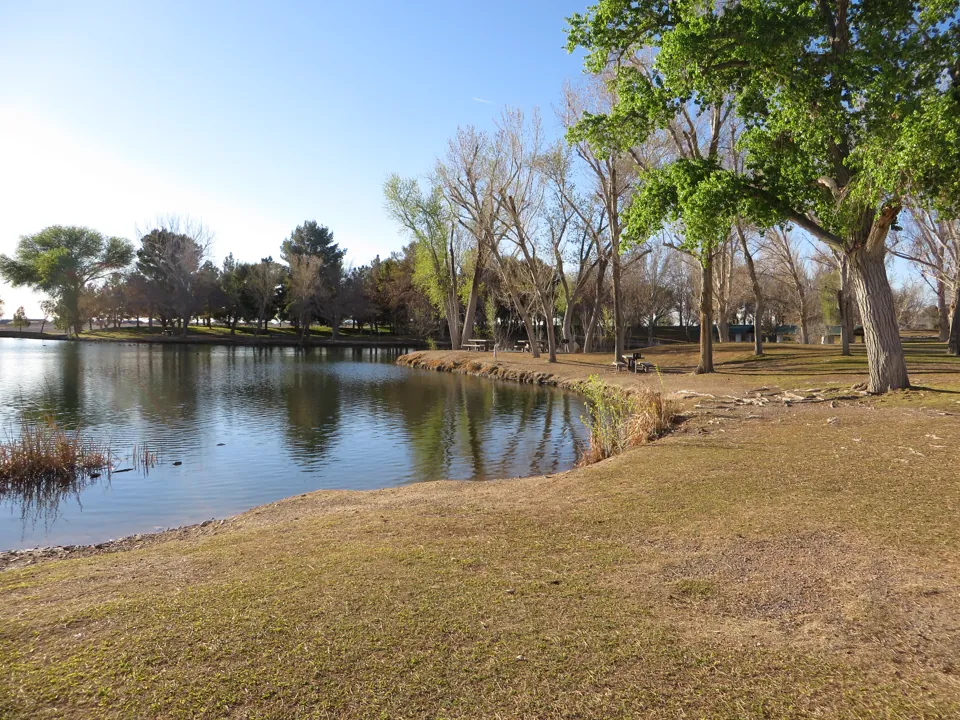 Orilla de un estanque con árboles y mesas de picnic en Floyd Lamb Park.