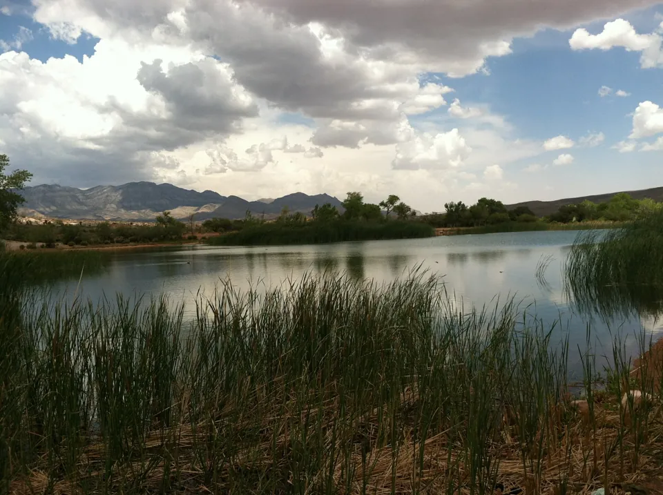 Paisaje con agua, juncos y montañas en Spring Mountain Ranch.