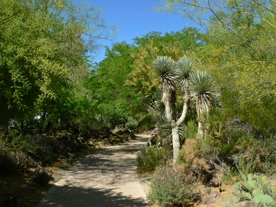 Sendero del jardín botánico de cactus de Ethel M, en Henderson · archivo de mayo de 2006; no representa la iluminación de una temporada actual.