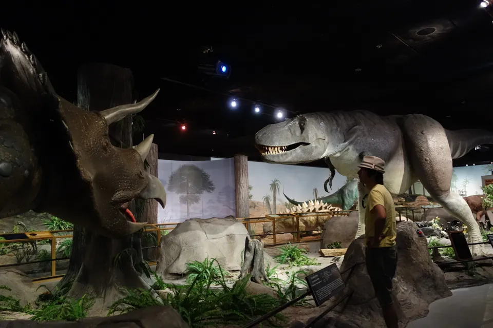 Exhibición de dinosaurios del Las Vegas Natural History Museum · archivo de junio de 2014. El montaje y las piezas disponibles pueden cambiar.