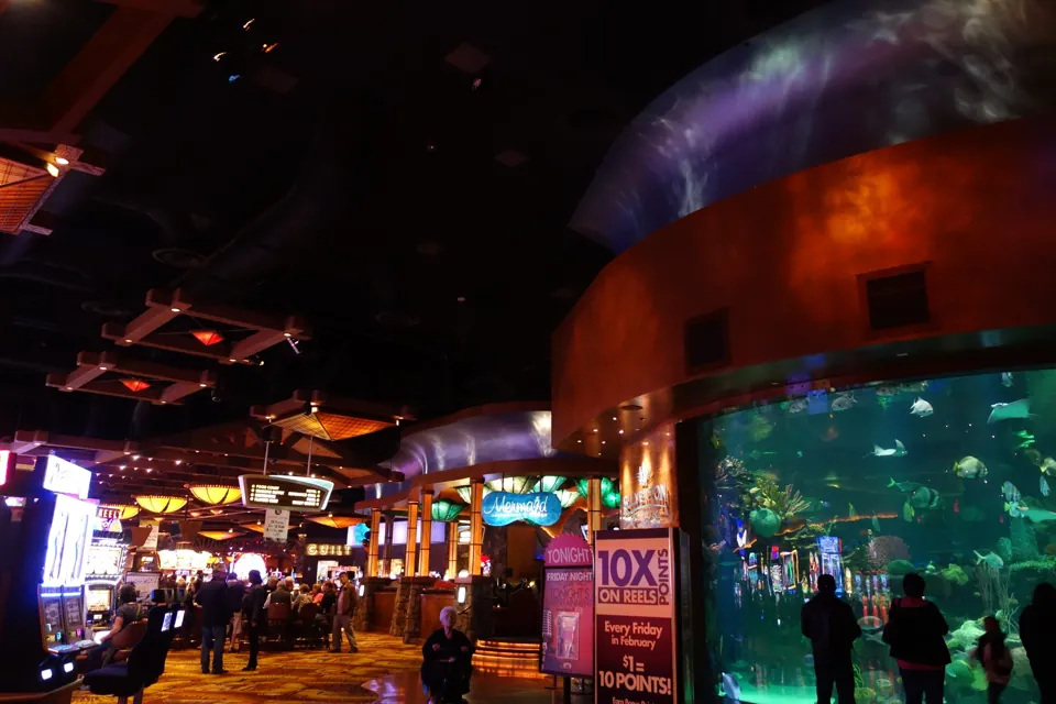 Acuario y área de casino de Silverton · archivo de febrero de 2014. La fotografía no muestra habitaciones ni confirma la decoración actual.