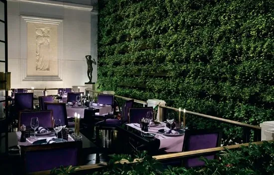 Comedor de Joël Robuchon en MGM Grand · imagen editorial del operador, sin fecha de toma publicada; la distribución puede variar.