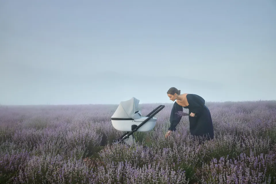 Persona junto a una carriola en un campo de lavanda