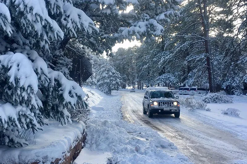 Vehículo en una carretera nevada de Grand Canyon Village entre árboles cubiertos de nieve.