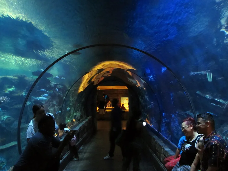Túnel de Shark Reef Aquarium en Mandalay Bay · archivo 2015