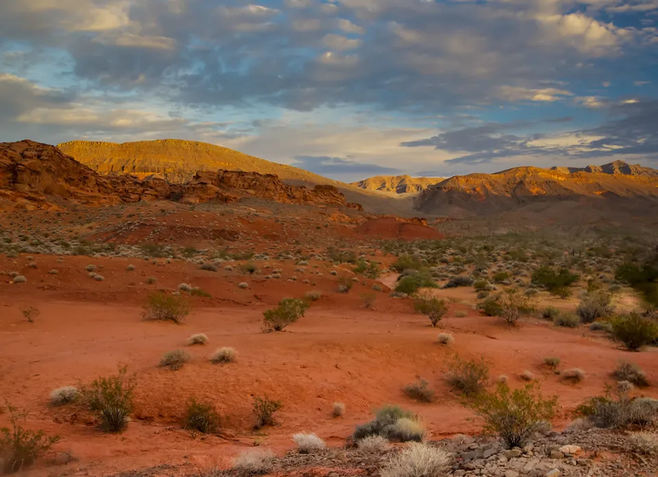 Formaciones de arenisca roja, vegetación desértica y montañas en Gold Butte.